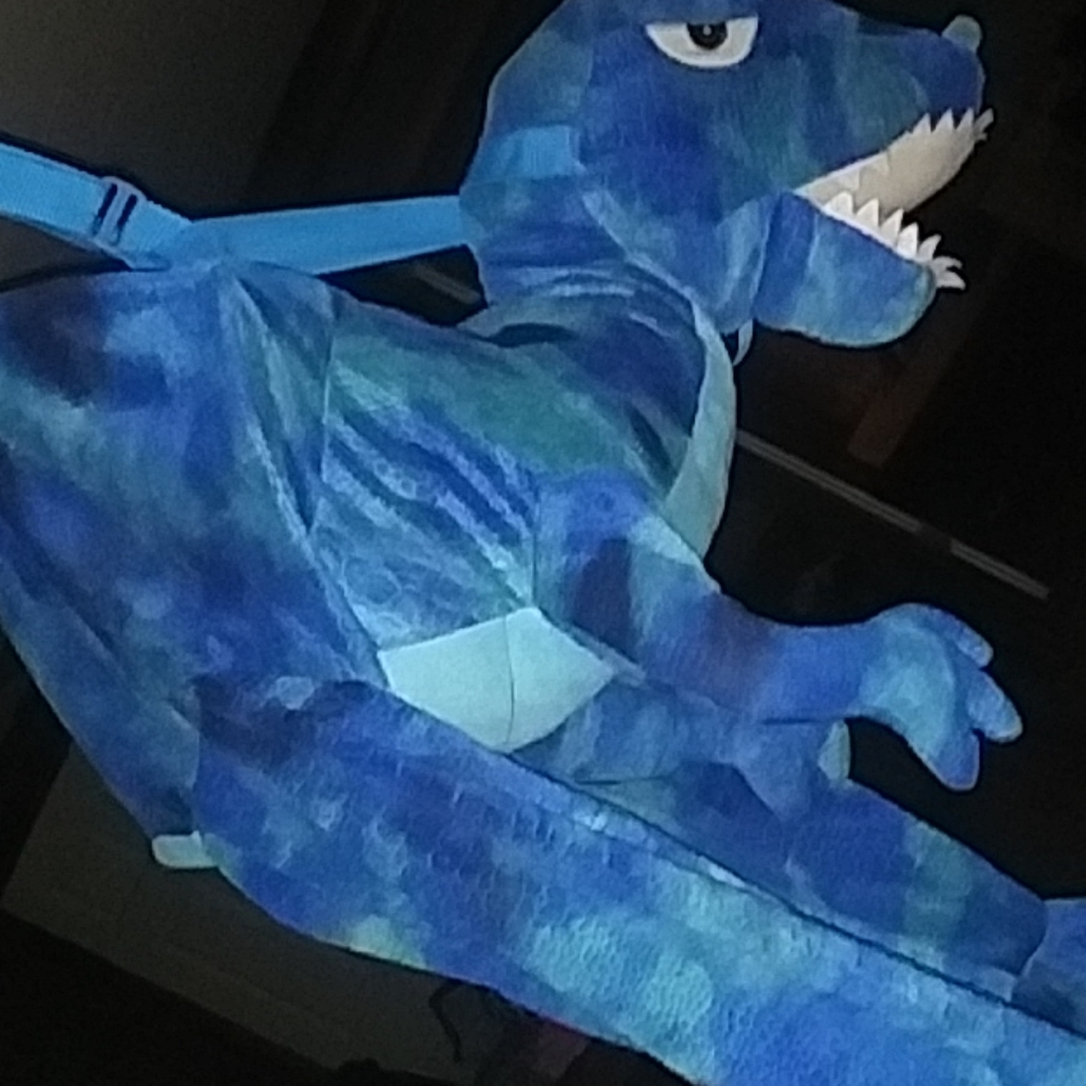Dinosaur outfit